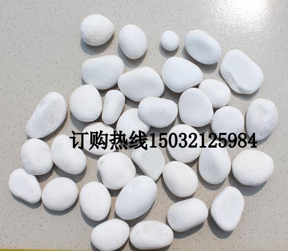 白色鹅卵石小白石子枯山水白石头园林造景铺路白鹅卵石  枯山水装饰白石子