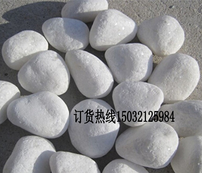 白色鹅卵石小白石子枯山水白石头园林造景铺路白鹅卵石  枯山水装饰白石子