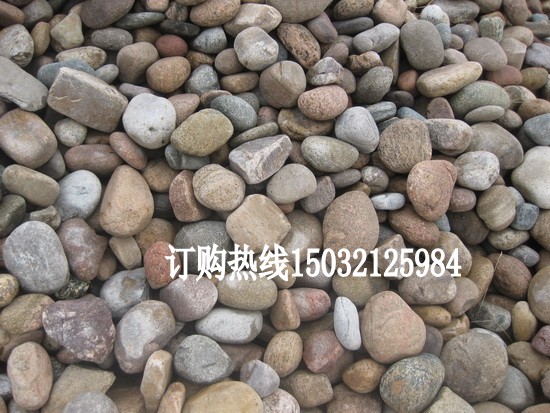 鹅卵石豆石地暖回填施工家用水洗沼泽过滤小石子  地暖回填豆石