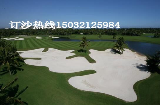 人工沙滩白沙子园林绿化白沙子景区造景细白沙