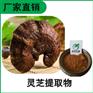 森冉生物 灵芝提取物 灵芝多糖 赤芝提取物 多种规格