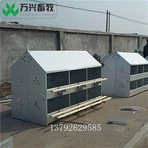 供应万兴畜牧鸡舍鸡场用多穴产蛋箱  产蛋箱规格  产蛋箱厂家