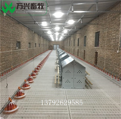 供应万兴畜牧镀锌板产蛋箱 新式产蛋箱 24窝产蛋箱