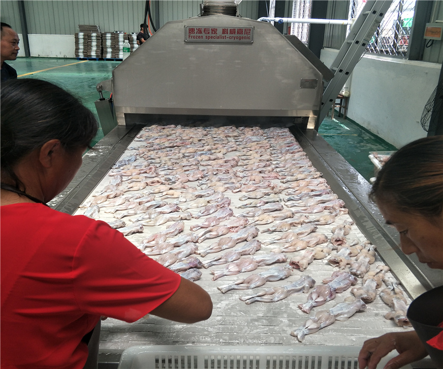 科威嘉尼液氮速冻牛蛙小龙虾海鲜水产隧道式设备  液氮速冻机  液氮低温设备  食品液氮速冻