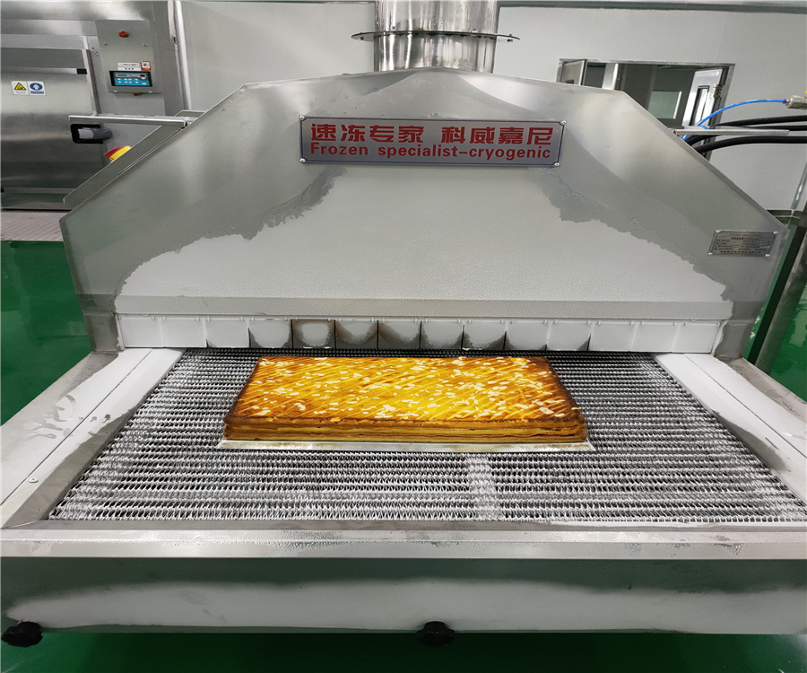 科威嘉尼液氮速冻鱼产品海产品预制菜 自主品牌  液氮速冻机  液氮低温设备  隧道式液氮速冻机