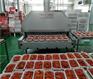 液氮速冻猪肝肥肠牛蛙毛肚肉制品低温速冻机