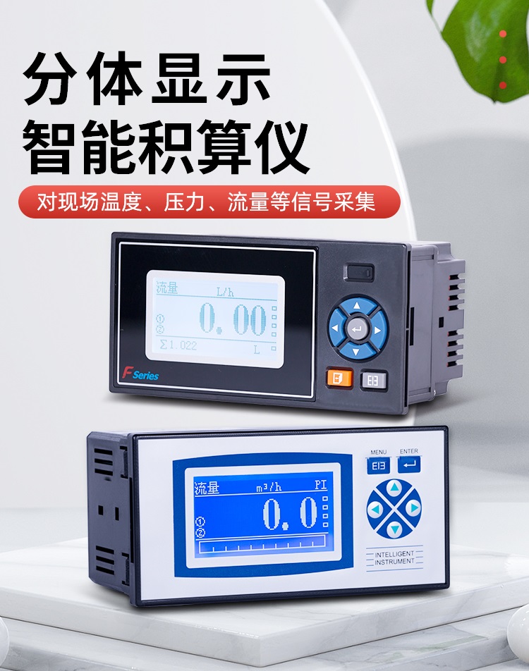 GT20F分体显示智能流量积算仪蒸汽流量积算显示仪  显示仪表