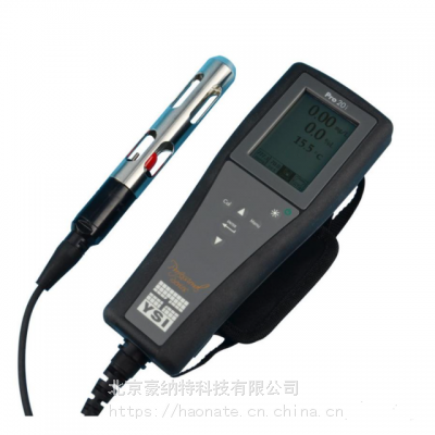 YSI维赛Pro20便携溶解氧仪  YSI Pro20溶解氧仪