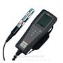 YSI维赛Pro20便携溶解氧仪