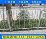 深圳公路乙型护栏厂家 公路中央白色港式护栏