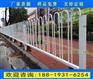 佛山祖庙机非隔离栏杆 白色烤漆道路护栏厂家