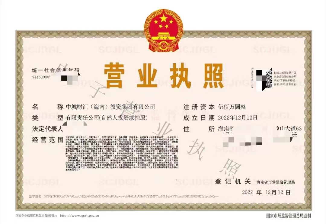 海南投资公司注册中城财汇（海南）投资集团有限公司转让  海南公司注册  海南公司转让