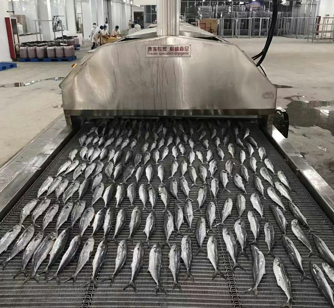 液氮速冻机速冻水产海鲜牛羊肉制品面点设备  液氮低温设备  隧道式液氮速冻机