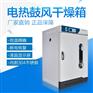 纳美瑞电热恒温鼓风干燥箱101-A0(40L)