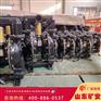 BQG320/0.3气动隔膜泵厂家 隔膜泵技术参数