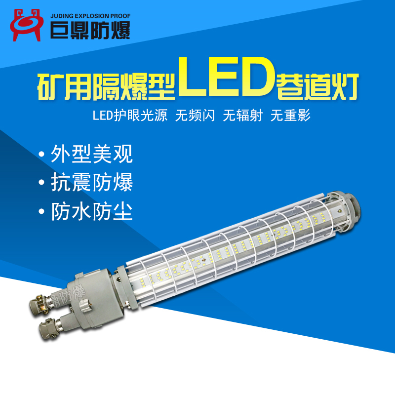 DGS36/127L(A)矿用隔爆型LED巷道灯 煤矿常用&nbsp;&nbsp;36W巷道灯