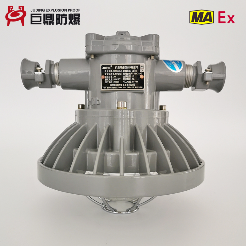 DGS24/127L(A)矿用隔爆型LED巷道灯矿用防爆灯 24W矿用防爆灯