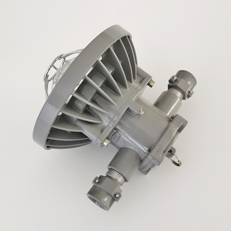 DGS24/127L(A)矿用隔爆型LED巷道灯矿用防爆灯 24W矿用防爆灯