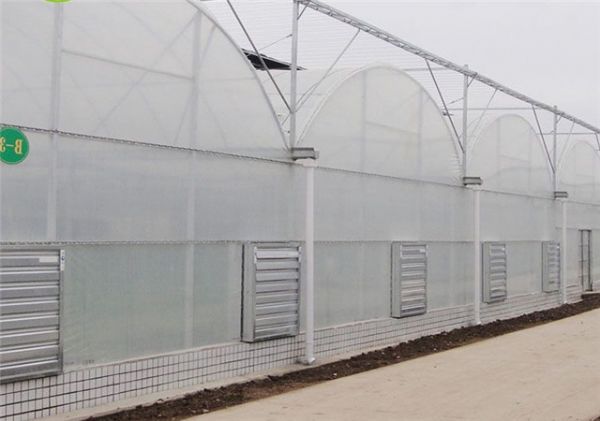 连栋薄膜大棚建设价格