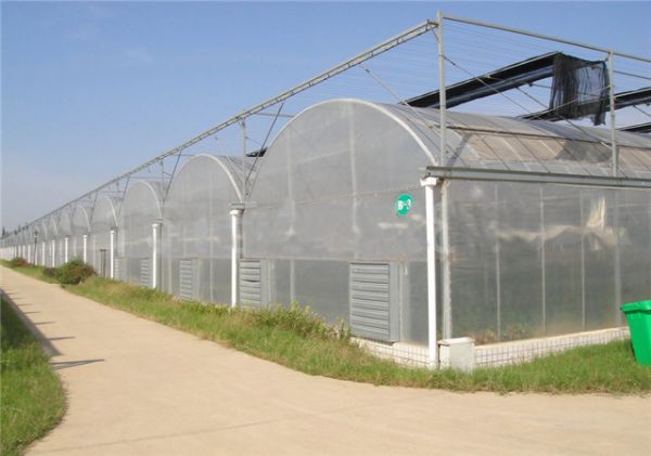 连栋薄膜大棚建设价格
