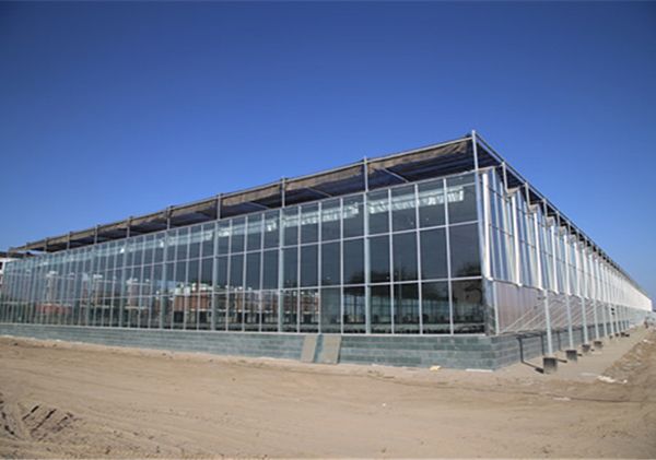 玻璃温室建设价格