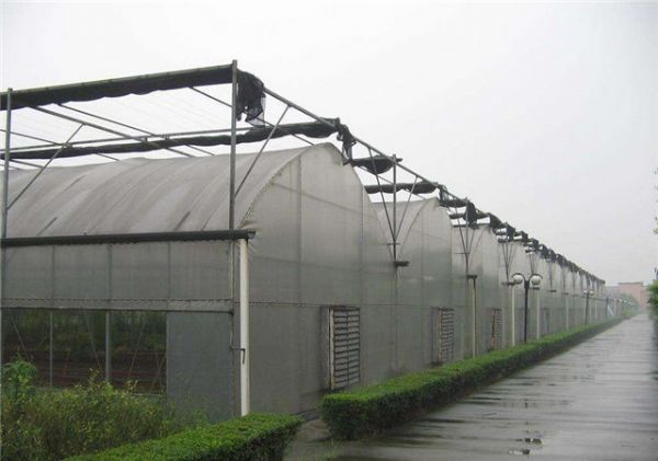 连栋大棚建设价格