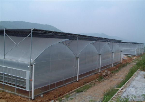 连栋大棚建设价格