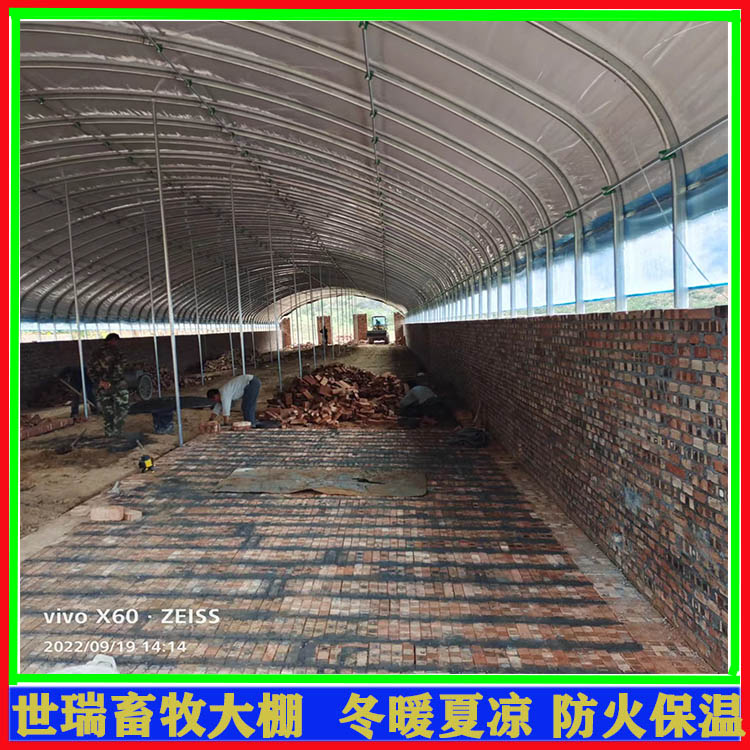 肉牛养殖大棚安装 牛舍大棚材料价格 养牛大棚施工厂家