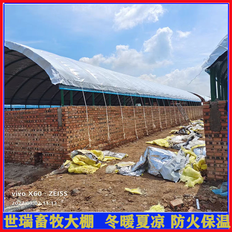 养羊大棚建设价格 羊舍大棚施工 养羊棚设计施工