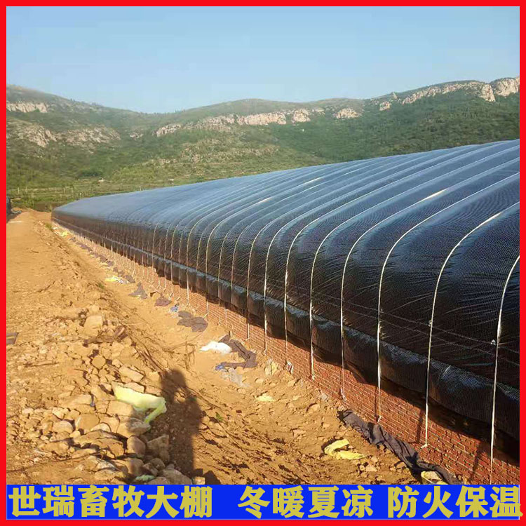 养鸡大棚施工设计 鸡舍大棚安装 肉鸡保温大棚搭建厂家