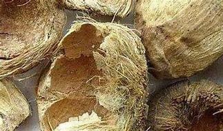 泰国大腹皮报关清关操作代理&nbsp;&nbsp;进口大腹皮清关&nbsp;&nbsp;进口大腹皮报关&nbsp;&nbsp;大腹皮进口报关