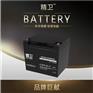 精卫蓄电池6-GFM-24-YT12V24AH光伏发电储能