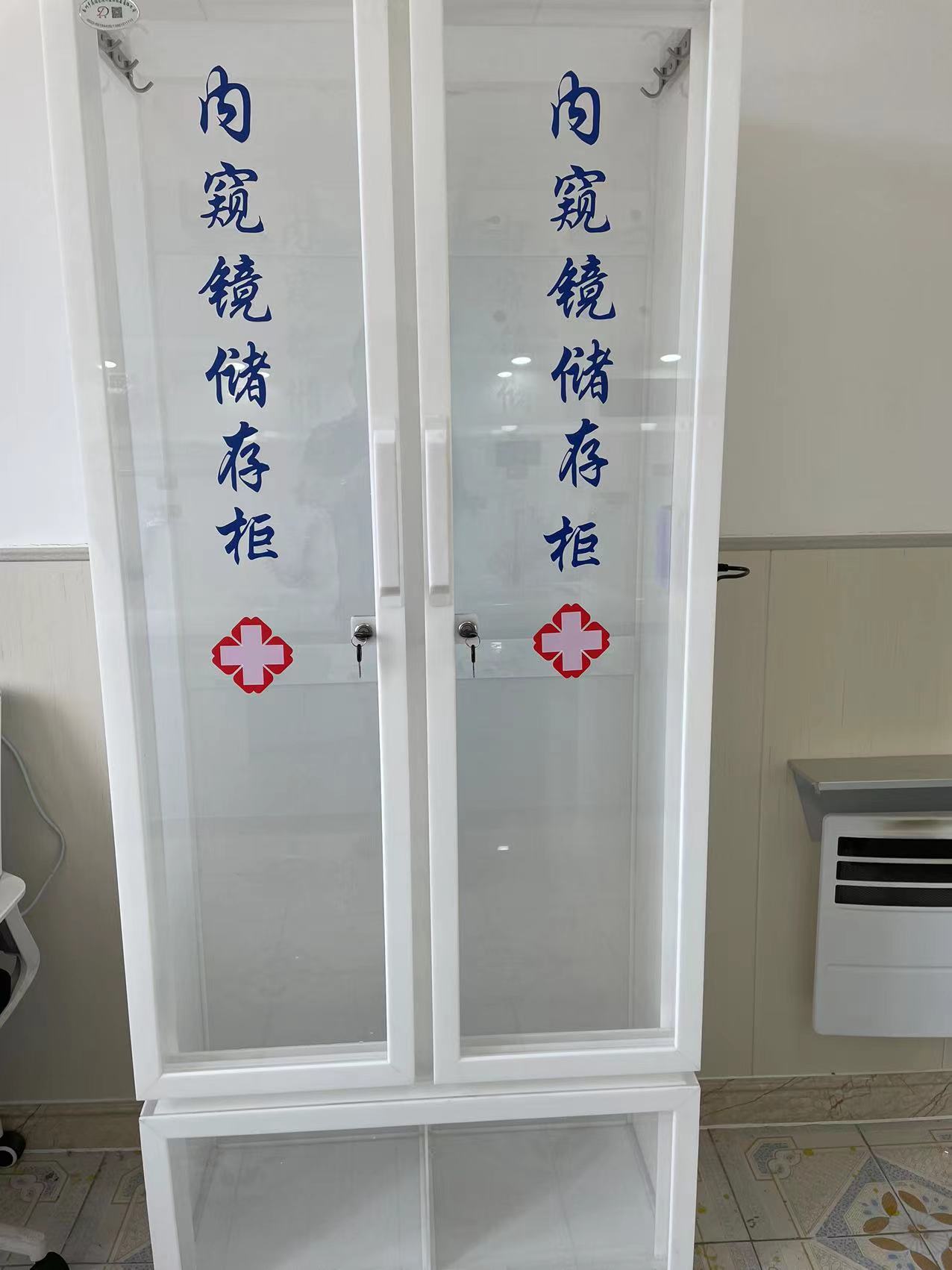 有机内镜双门储存柜多规格可定制  有机内镜储存柜