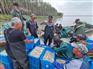 新疆大银鱼养殖基地，新疆博斯腾湖银鱼卵