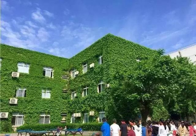 当“爬山虎”遇上教育——成都市玉林小学校园文化  校史馆策划  景观设计