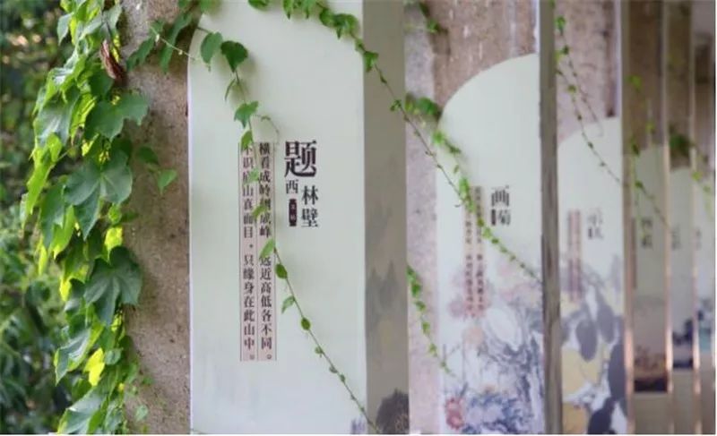 当“爬山虎”遇上教育——成都市玉林小学校园文化  校史馆策划  景观设计
