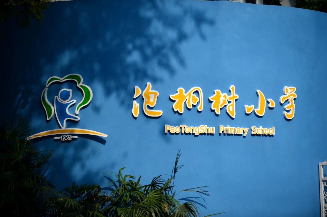 泡桐树小学校园文化| 以树为名，让每一个生命自由舒展！  校史馆策划  景观设计