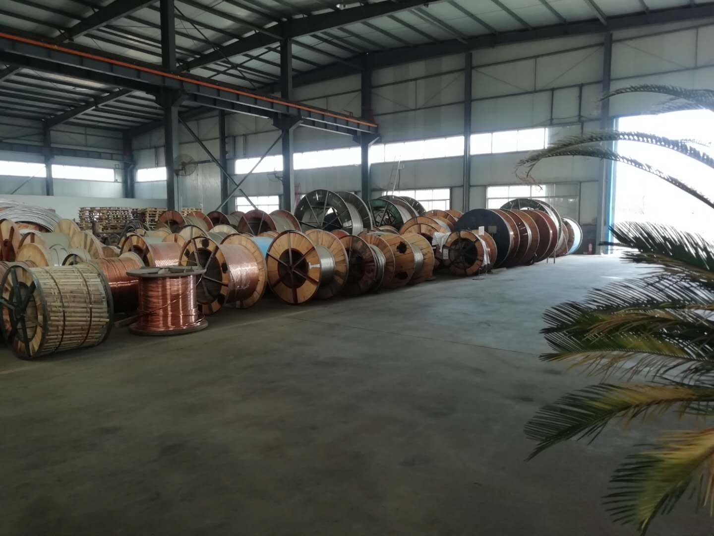 CT240铜电车线  滑触线