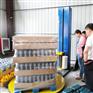 山东喜鹊 食品托盘缠绕包装机 防尘防潮 包装紧凑   省时省