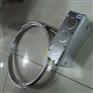 MINCO指示器CT325PD1C1