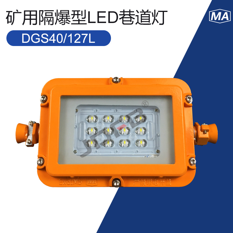 DGS40-127L(A)矿用巷道灯40W  40W矿用巷道灯  DGS40巷道灯