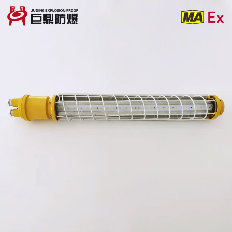 DGS24/127L(A)矿用巷道灯 矿用隔爆型巷道灯 矿用  24W矿用巷道灯  24W矿用照明灯  24W矿用投光灯