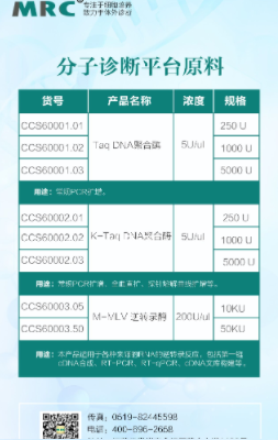 Taq DNA聚合酶