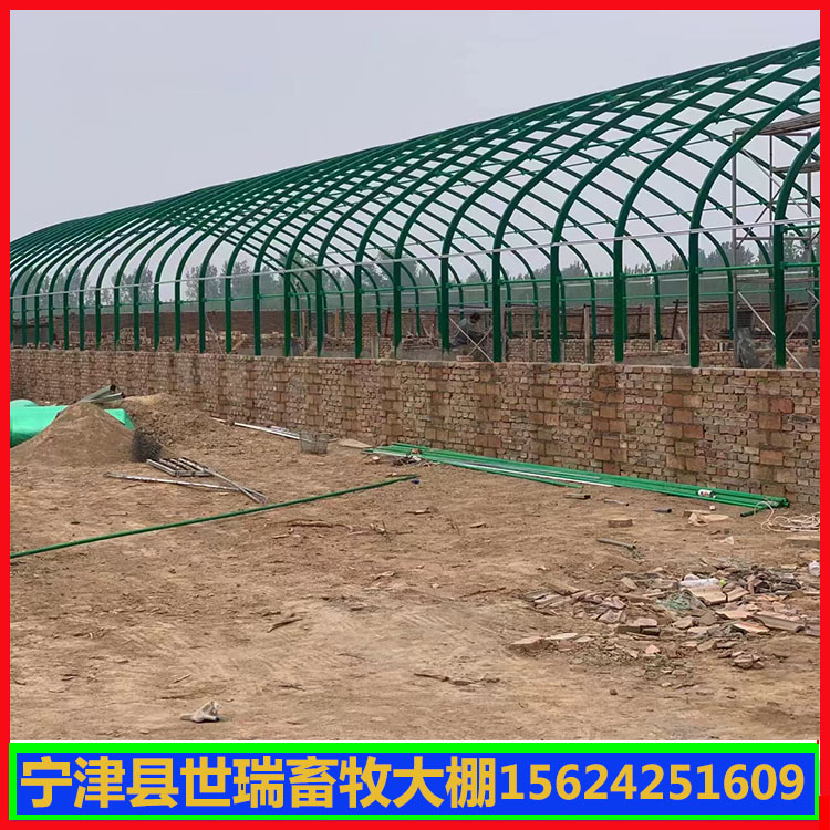 养猪大棚施工 猪舍大棚建设 搭建养猪大棚价格