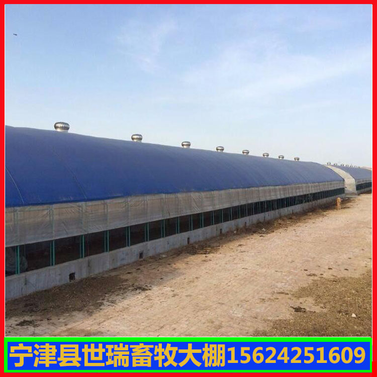 肉鸭保温大棚建设 养鸭大棚材料价格 搭建养鸭大棚厂家
