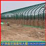 养猪大棚施工 猪舍大棚建设 搭建养猪大棚价格
