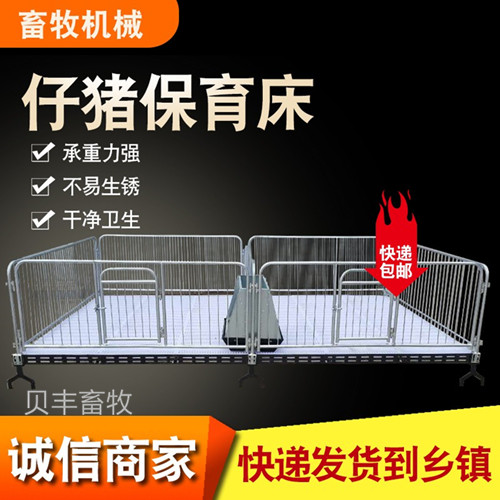 仔猪保育床 养猪设备 仔猪保育栏 保育栏 猪养殖设备器械 复合母猪产床 双体保育床