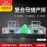 优质镀锌猪分娩产床/双体母猪产床/产保一体产床设计