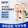 宇益电气 DT镀锡铜接头 镀锡线鼻子 铜接线端子 酸洗铜鼻子