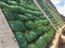 昆明植生袋；昆明双层植生袋；昆明市植生袋；昆明草籽袋